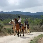 El Pao Jijona