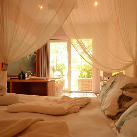 El Pao Spa Bed & Breakfast Jijona