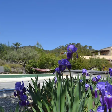 El Pao Spa Bed & Breakfast