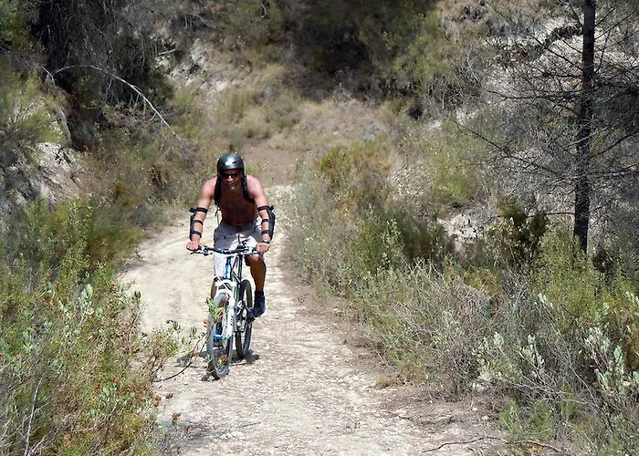 Bed and breakfast El Pao