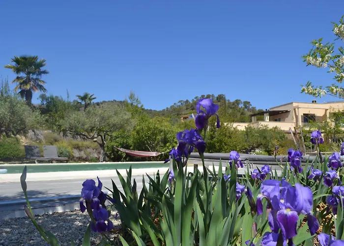 El Pao Отель типа 