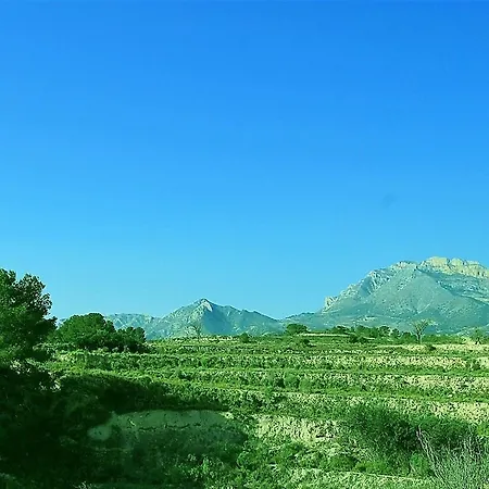 Bed and breakfast El Pao 4*